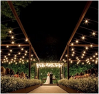 Varal De Luzes Festão 20 Mts Lâmpadas Inclusas