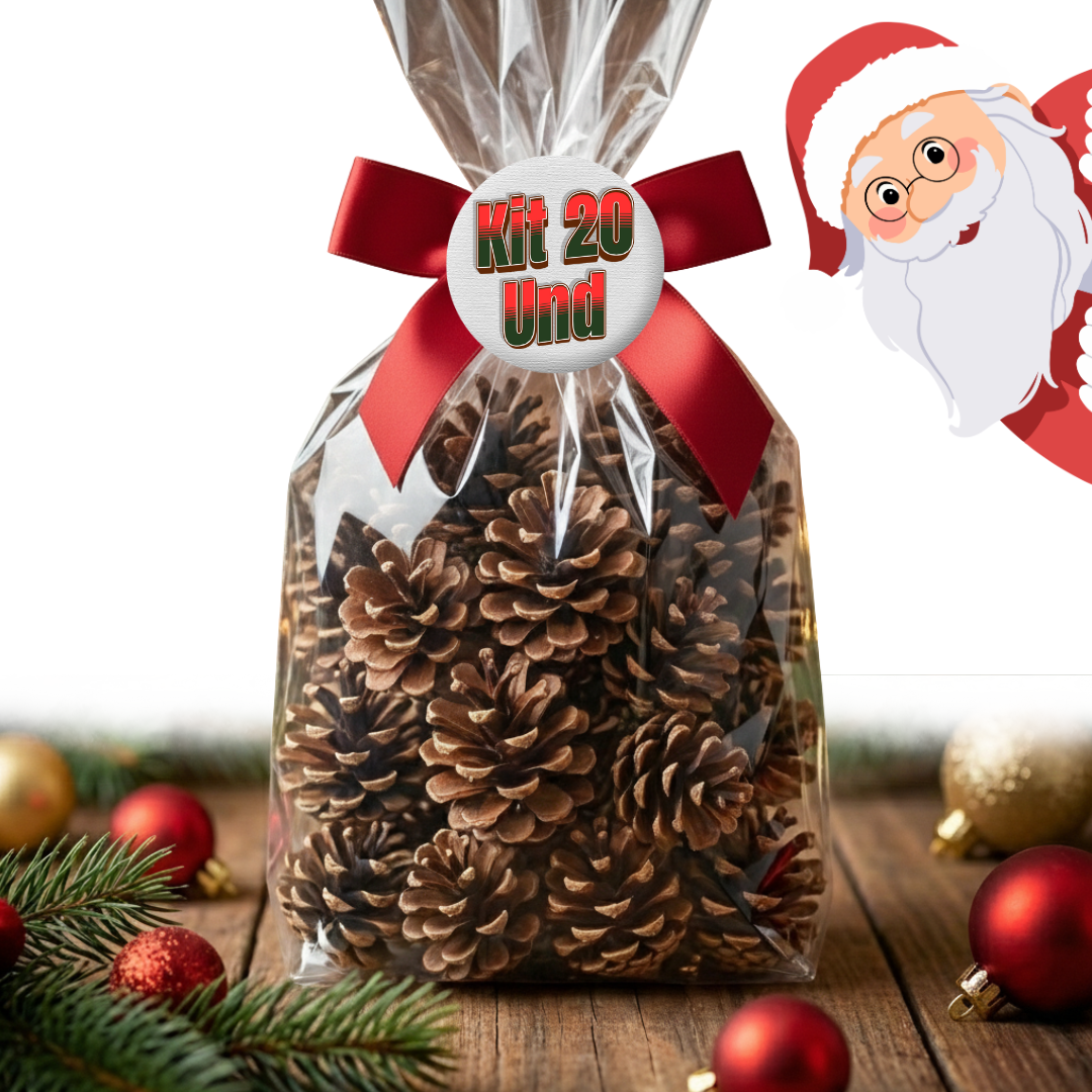 Pinhas Naturais Decorativas Natal - Kit 20 unidades